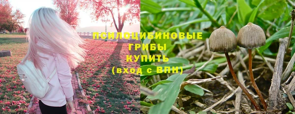 тгк Балахна