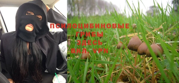 тгк Балахна