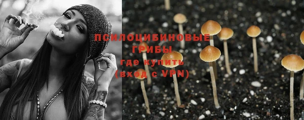 тгк Балахна