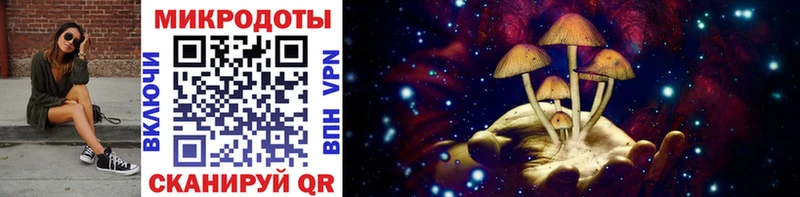 Галлюциногенные грибы Cubensis  Купить где  Севск 